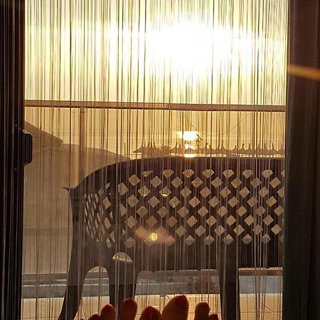 Apartament Andy Mamaia Nord 30 M De Plaja Năvodari Екстериор снимка