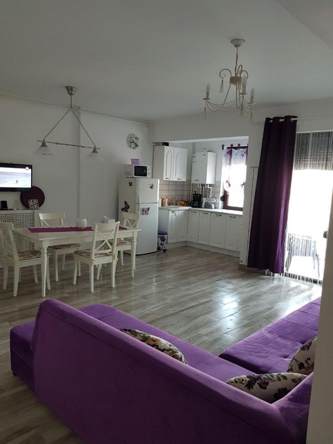 Apartament Andy Mamaia Nord 30 M De Plaja Năvodari Екстериор снимка